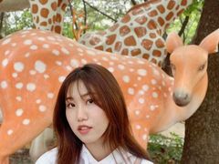 -晓港公园