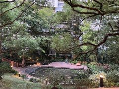 -香港大学