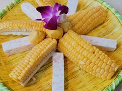 -墨脱石锅椰子鸡•香草鸭•东山羊(大东海店)