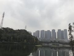 -重庆彩云湖湿地公园