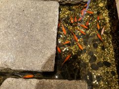 -邈墨茶馆(凤起路店)