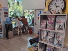 -纳吉亚猫专科动物医院·北北分院