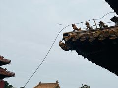 -北陵公园