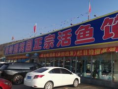 -庆岭迎宾园正宗活鱼馆