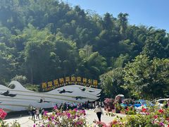 -西双版纳原始森林公园