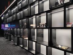 -奥斯卡升龙国际影城(RealD Cinema)