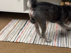 -宜家家居(四元桥商场店)