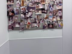 -宠物星动物医院·眼科·异宠·猫科(江南大道总院)