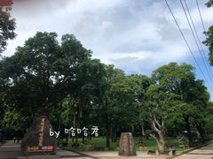 -海口火山口国家地质公园