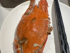 -加餐海鲜自助(宝龙一城店)