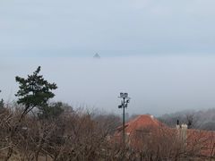 -青岛海滨风景区小鱼山