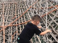 -呀路古热带植物园