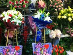 -静岸花卉园艺(三星坊店)