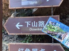 -大岭沟猕猴桃谷风景区