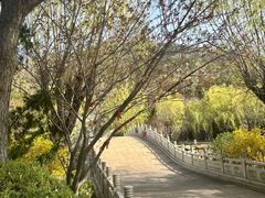 -石岛赤山风景区