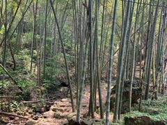 -会稽山峡洞漂流-上青古道