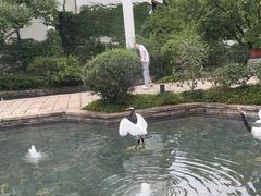-广富林宰相府酒店·水云间