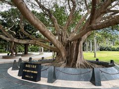 -深圳仙湖植物园