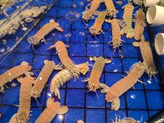 -金悦轩海鲜酒家(拱北店)