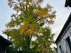 -惠山古镇·寄畅园