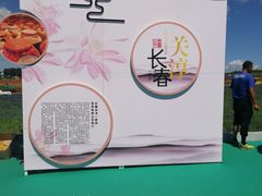 -莲花山花海