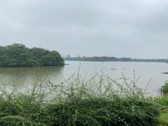 -海珠湖公园
