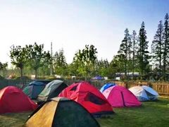 -前小桔亲子创意农场·草莓采摘·露营烧烤