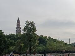 -顺峰山公园