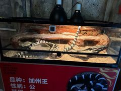 -海合安武汉极地海洋公园