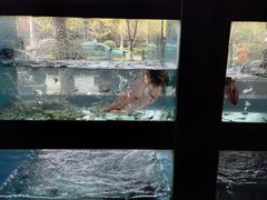 -全乐鱼馆·淳牌有机鱼直营店