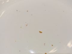 -圣丰索菲特·法国餐厅