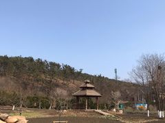 -棒棰岛宾馆景区