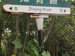 -同里国家湿地公园