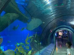 -福州罗源湾海洋世界旅游区