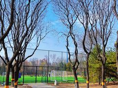 -太阳宫足球俱乐部
