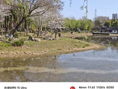 -堤角公园