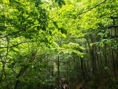 -敬亭山风景名胜区