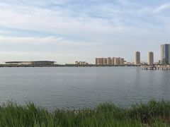 -天津金海湖