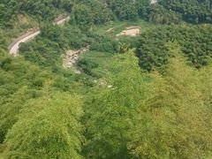 -宁波浙东大竹海景区