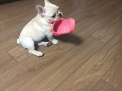 -中国移动(南泉北路营业厅)