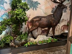 -新白鹿餐厅(金鹰新街口店)