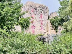 -秦皇岛野生动物园