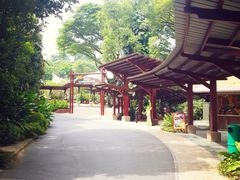-新加坡飞禽公园
