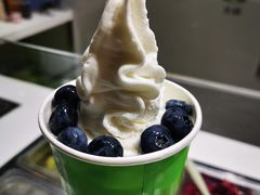 -Salud撒露欧洲冻酸奶(北苑上品店)