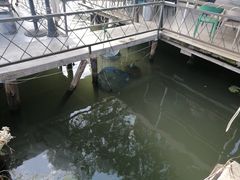 -水岸居湖景农家乐·阳澄湖大闸蟹