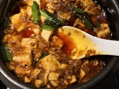 -陈麻婆豆腐总店
