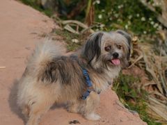 -任达丞国农庄(任达山庄店)