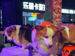 -味千拉面(惠州文昌一路分店)