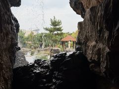 -郑州植物园