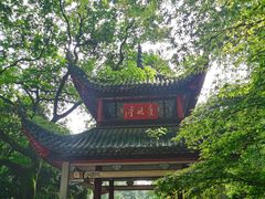 -剁椒入味(黄土岭店)